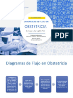 Flujogramas-Obstetricia-2018