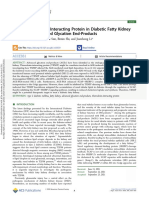 Papel Da Proteína Que Interage Com A Tiorredoxina No Rim Gorduroso Diabético, Induzida Por Produtos Finais de Glicação Avançada