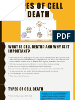 Types of Cell Death