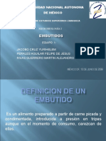 22441935-eq-1-embutidos-microbiologia