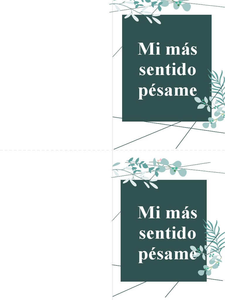 Mis más sentido pésame | PDF | Artes del Lenguaje y Comunicación