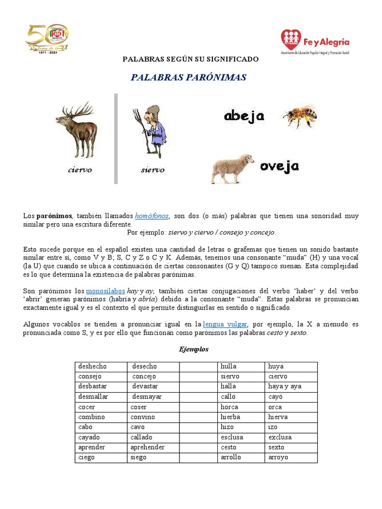 Ejemplos de Palabras Parónimas | PDF