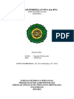 MAKALAH PERBEDAAN DNA Dan RNA Sopiatko