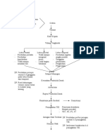 Patoflowdiagram