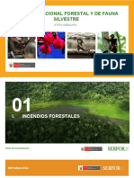 Diapositivas Incendio Forestal - Luis