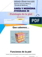 Fisología de Piel