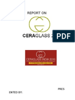 Report On Ceraglass2010