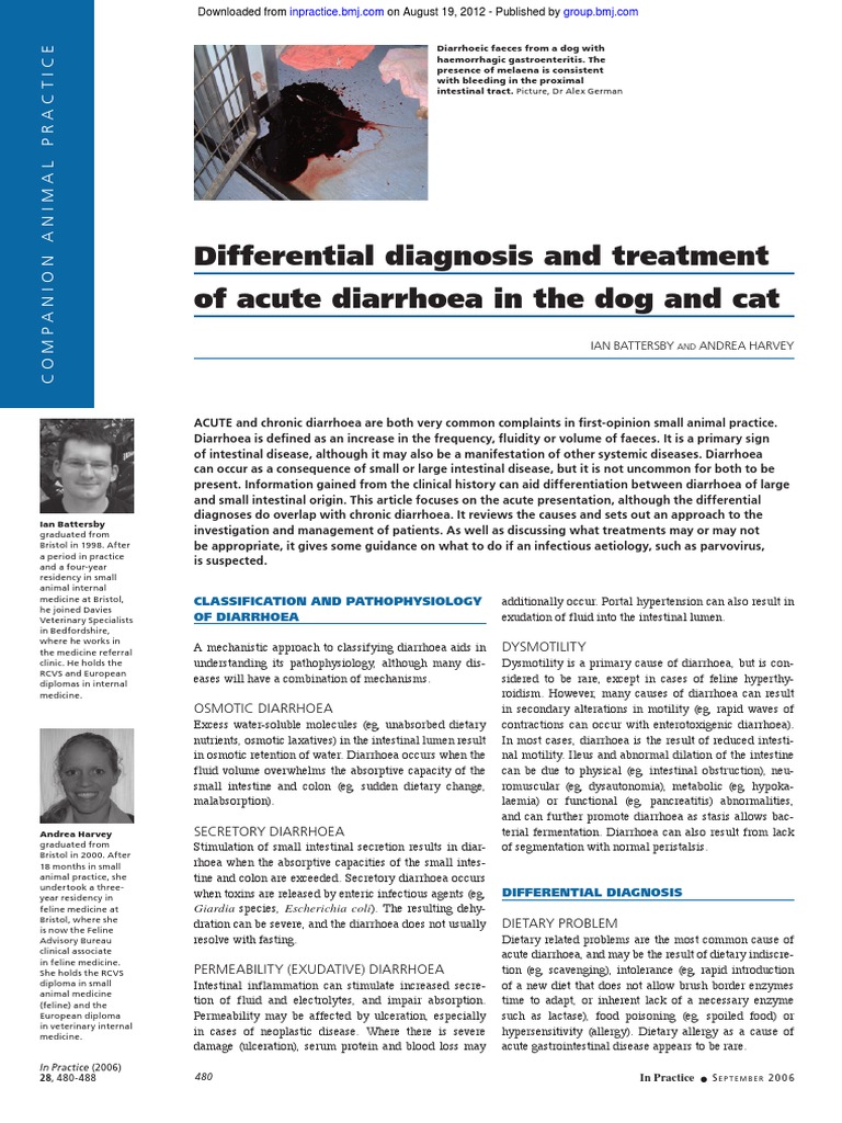 Differential Diagnosis and Treatment of Acute Diarrhoea in The Dog and ...