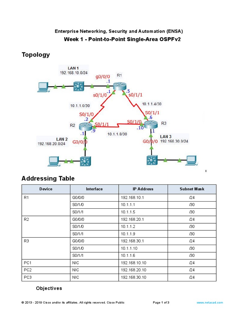 Configuring a point to point single area ospfv2 network with router ids