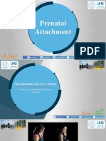 Prenatal Attachment