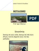 Aula_4_-_Botulismo