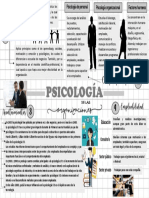 Concepto e Importancia de La Psicología de Las Organizaciones - Alessandra Delgado