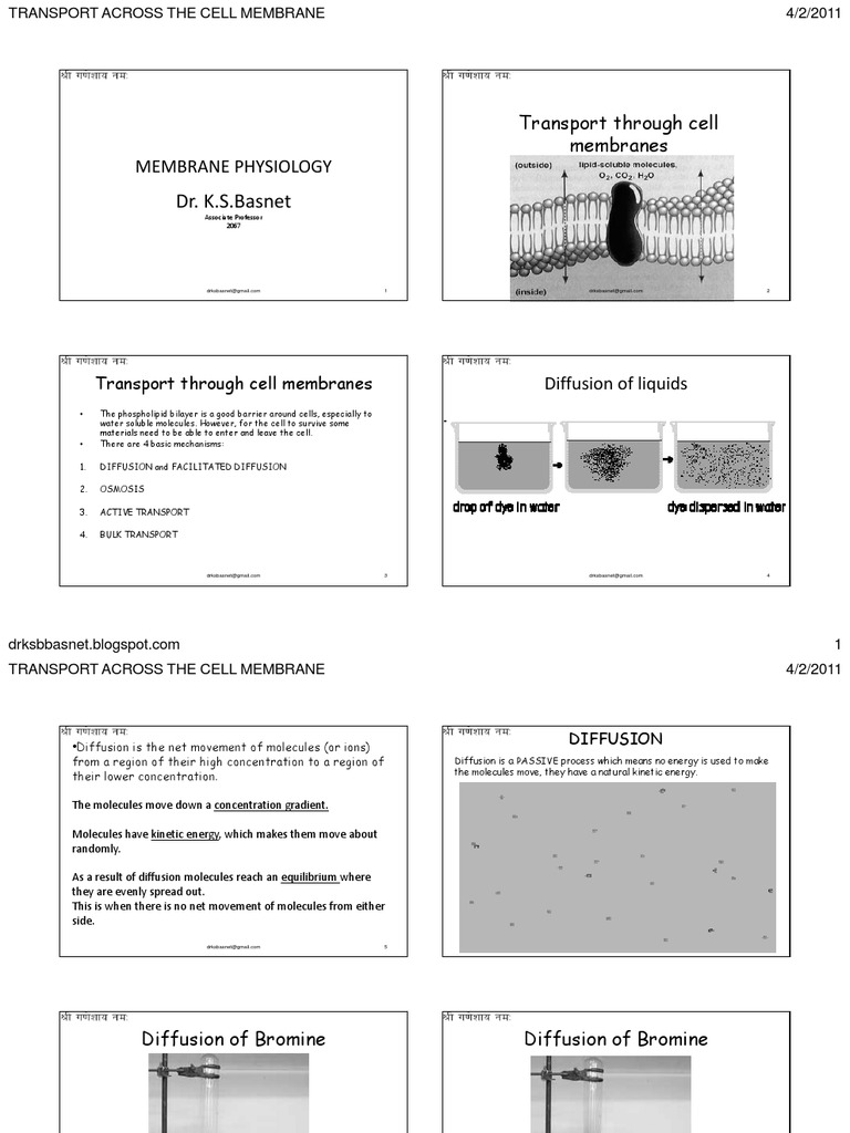 Cell Membrane Transport Mechanisms | PDF | Osmosis | Cell Membrane
