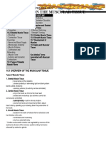 Muscular Tissue Lecture Study Outline