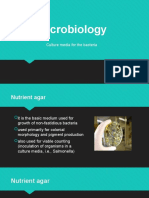 Microbiology Culture Media Guide