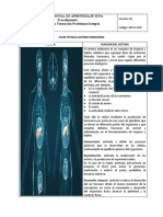 Formato Ficha Tecnica Sistema Endocrino