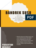 BANDREK SUSU-WPS Office