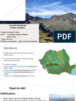 Proiect Relief Geografie