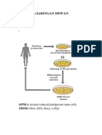 Teknik Stem Cell