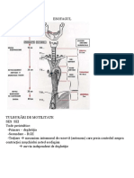 Patologie Esofag 1