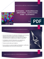 Bases Moleculares de La Psicofarmacologia - Daniela Ferrer