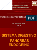 5-sist-dig-pancreass