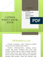 Laporan Survey Jentik-Jentik Kel.5