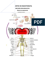 Apuntes de Masoterapia1