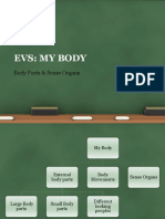Evs Parts of Body
