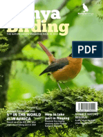 Kenya Birding 15 FINAL