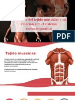 Sistema-Muscular Fisiologia Final