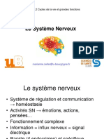 NeuronesSN MZ IFSI Dijon Sept 2016 n108