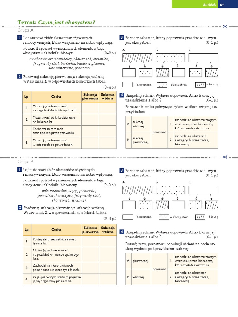 Puls życia Klasa 8 Sprawdziany Pdf