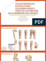 11-01 Músculos Mediales, Estructuras Vasculonerviosas y Relaciones en La Porción Anteromedial Del Muslo