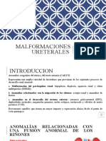 Unidad XVIII. Malformaciones Ureterales