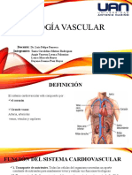 Fisiología Vascular