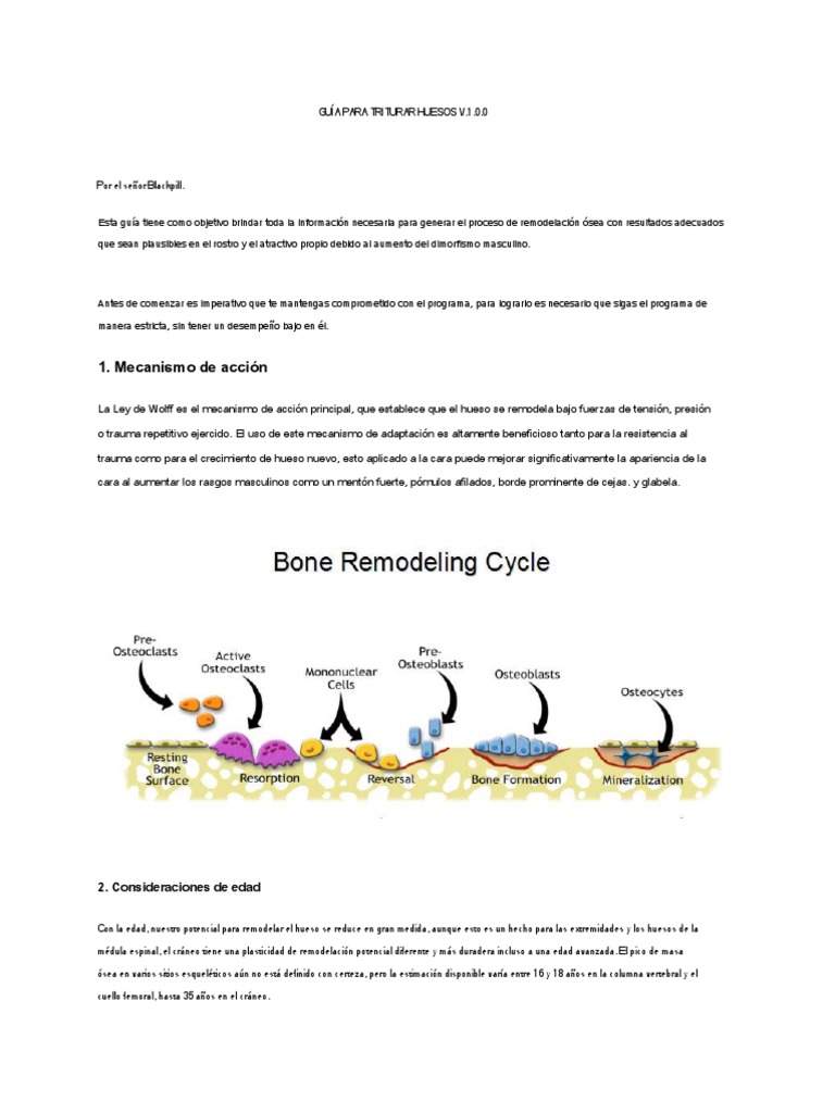 BONE-SMASHINGguide en Es | PDF | Hueso | Dieta