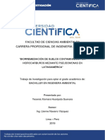 Biorremediación de Suelos Contaminados Por Hidrocarburos Mediante Pseudomonas en Latinoamérica