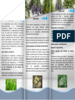 TRIPTICO de Plantas Medicinales