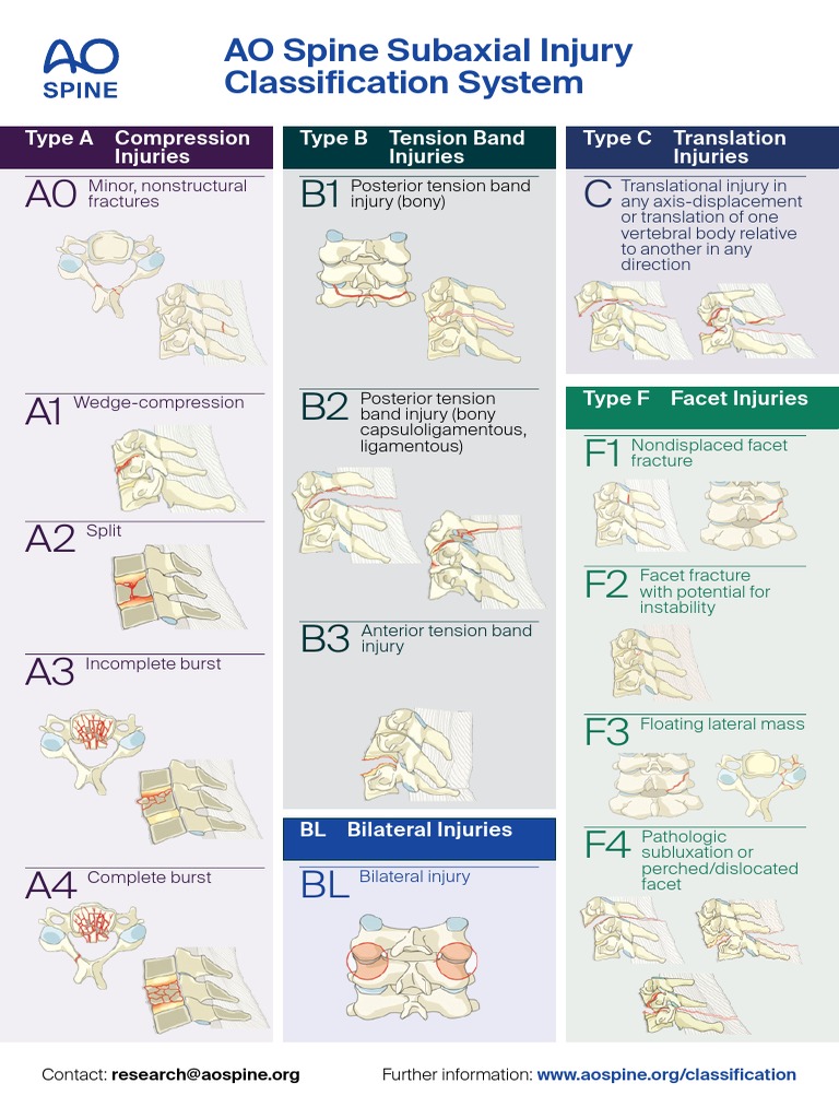 AOS - Injury - Classification - Pocket - Card SUBAXIAL | PDF | Vertebra ...