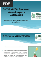 MOREIRA, Marcos Antônio. Teorias de Aprendizagem | PDF | Behaviorismo ...