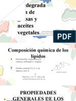 Biodegradación de grasas y aceites vegetales