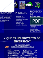 Exposicion Docente Proyectos de Inversion