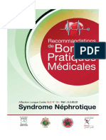 Syndrome Néphrotique (2)