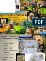 Kingdom Animalia: Clemente C. Montilla