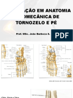 1. Atualizações Em Anatomia e Biomecânica de Tornozelo e Pé