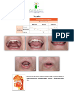 Articulación de consonantes y vocales
