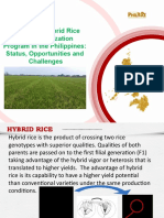 Glimpse of Hybrid Rice in The Phil vFINAL