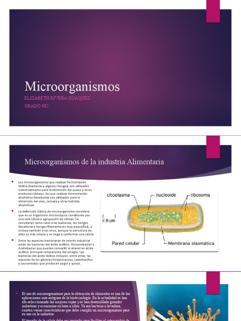 Microorganismos en la Industria Alimentaria | PDF | Leche | Levadura