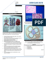 Pathology 5.08 Kidney Validation